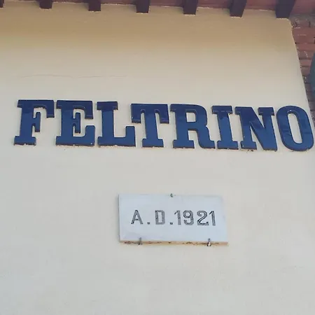 Podere Feltrino *